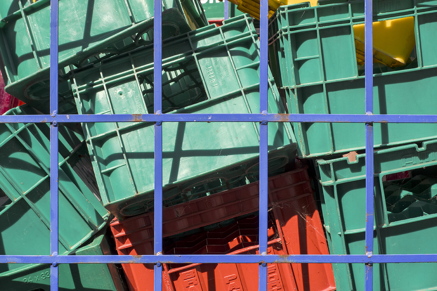 Colour Field — Nicolas Waltefaugle