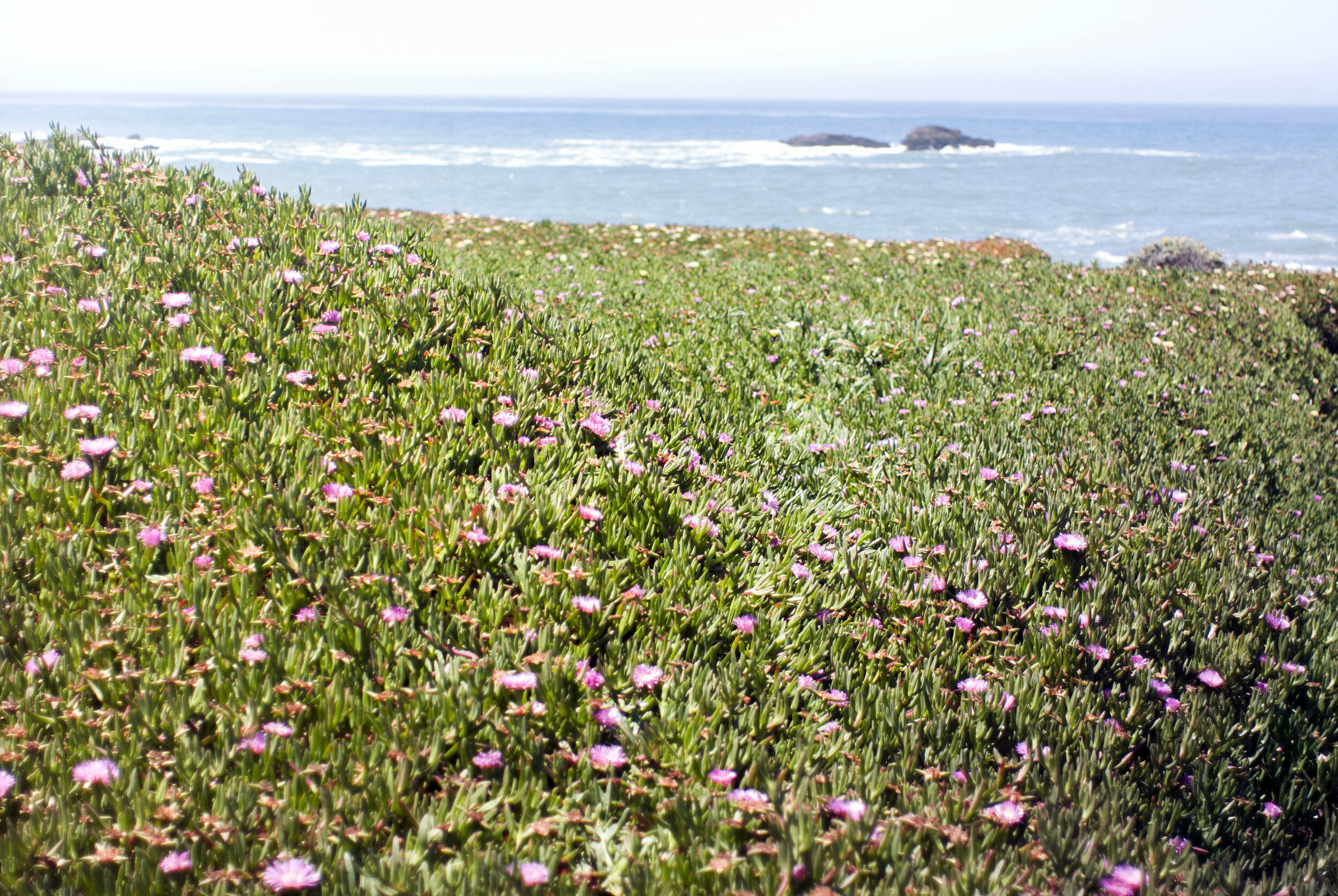 Pacific — Pixii