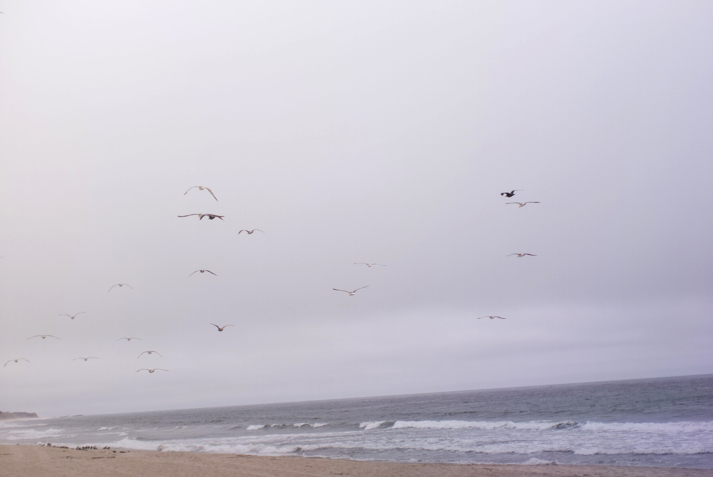Pacific — Pixii